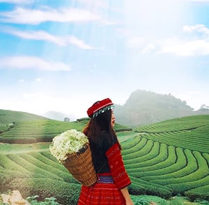 Du lịch Hè - Tour Du lịch Tây Bắc Hà Nội - Mộc Châu - Sơn La - Điện Biên - Sapa từ Sài Gòn 2025