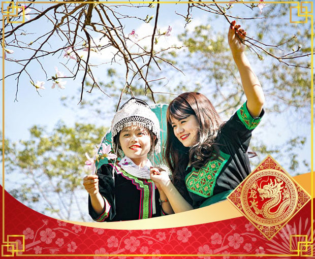 Du lịch Tây Bắc Tết Nguyên Đán - Hà Nội - Mộc Châu - Sơn La - Land Tour 6 ngày từ Sài Gòn 2025