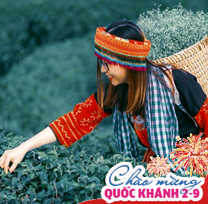 Du lịch Lễ 2/9 - Tour Hà Nội - Mai Châu - Mộc Châu - Tràng An - Bái Đính - Ninh Bình từ Sài Gòn 2025