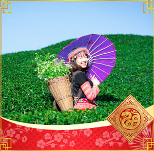 Du lịch Tây Bắc Tết Âm lịch - Hà Nội - Mộc Châu - Sơn La - Điện Biên - Sapa từ Sài Gòn 2026