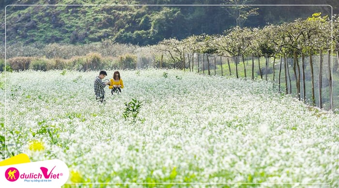 Du lịch Tây Bắc - Hà Nội - Mộc Châu - Điện Biên - Sapa mùa Hoa Cải Trắng từ Sài Gòn 2025