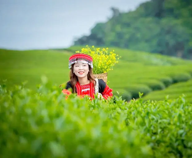 Du lịch Tây Bắc Lễ 30/4 - Hà Nội - Mộc Châu - Điện Biên - Sapa từ Sài Gòn 2026