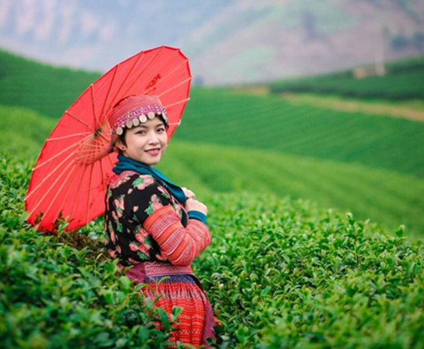 Du lịch Tây Bắc Lễ 30/4 - Tour Hà Nội - Mộc Châu - Sơn La - Sapa từ Sài Gòn 2025