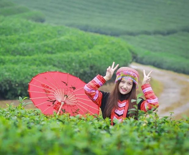 TOUR MIỀN BẮC MÙA XUÂN 4N3Đ | MAI CHÂU - MỘC CHÂU - NINH BÌNH