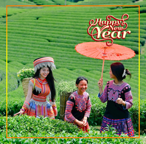 Du lịch Tây Bắc Tết Dương lịch - Hà Nội - Mộc Châu - Sơn La - Điện Biên 6N5Đ từ Sài Gòn 2025