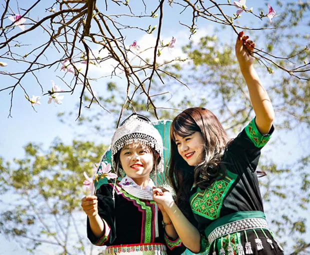 TOUR MIỀN BẮC TẾT DƯƠNG LỊCH 4N3Đ | MAI CHÂU - MỘC CHÂU - NINH BÌNH