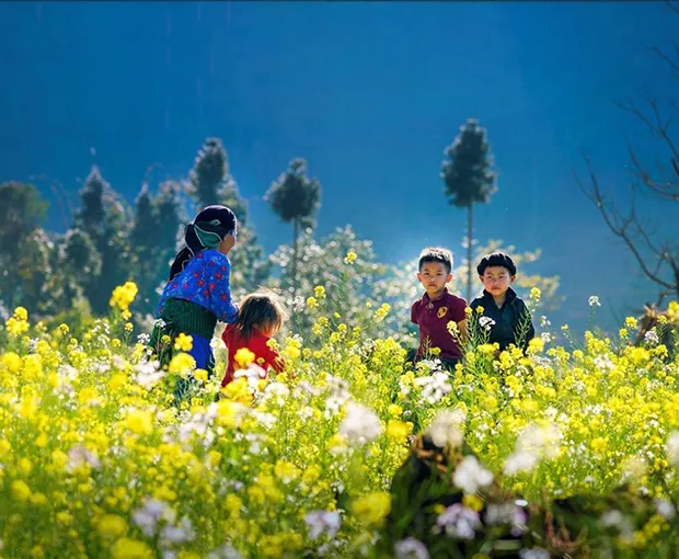 TOUR TÂY BẮC TẾT DƯƠNG LỊCH 6N5Đ | MỘC CHÂU - ĐIỆN BIÊN - SAPA - ĐỀN HÙNG