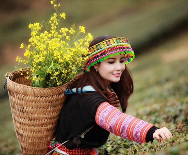 Du lịch Tây Bắc Hà Nội - Mộc Châu - Cầu Kính Bạch Long từ Sài Gòn 2025