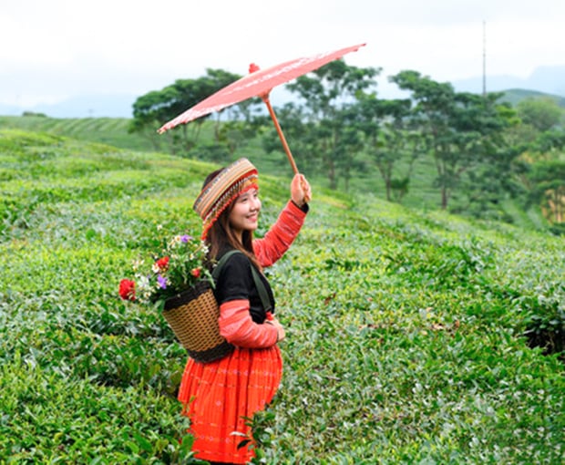 Du lịch Tây Bắc - Hà Nội - Mộc Châu - Điện Biên - Land Tour 5N4Đ từ Sài Gòn 2025