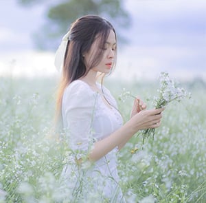 Du lịch Tây Bắc - Hà Nội - Mộc Châu - Điện Biên - Sapa mùa Hoa Cải Trắng từ Sài Gòn 2025
