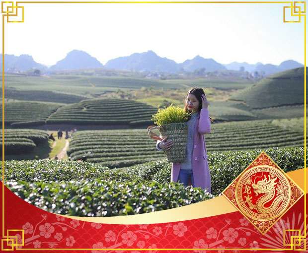 Du lịch Tây Bắc Tết Âm lịch - Hà Nội - Mộc Châu - Sơn La - Điện Biên 6N5Đ từ Sài Gòn 2025