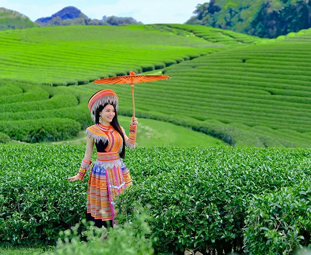 TOUR TÂY BẮC TẾT DƯƠNG LỊCH 4N3Đ | ĐIỆN BIÊN - APACHẢI - MỘC CHÂU