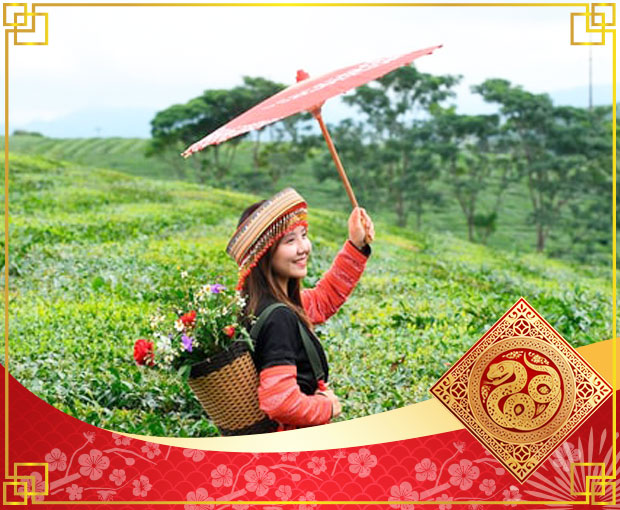 Du lịch Free & Easy Tây Bắc Tết Âm lịch - Hà Nội - Mộc Châu - Sơn La - Điện Biên - Sapa 6N5Đ từ Sài Gòn 2026