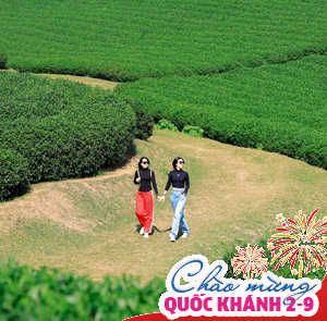 Du lịch Lễ 2/9 - Tour Tây Bắc - Điện Biên - Apachải - Mộc Châu - Hà Nội từ Sài Gòn 2025