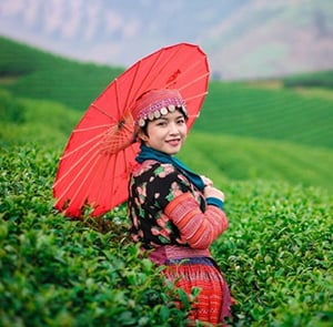 Du lịch Tây Bắc Lễ 30/4 - Tour Hà Nội - Mộc Châu - Sơn La - Sapa từ Sài Gòn 2025