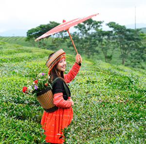Du lịch Tây Bắc - Hà Nội - Mộc Châu - Điện Biên - Land Tour 5N4Đ từ Sài Gòn 2025