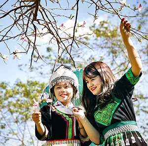 TOUR MIỀN BẮC TẾT DƯƠNG LỊCH 4N3Đ | MAI CHÂU - MỘC CHÂU - NINH BÌNH