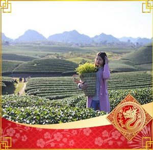 Du lịch Tây Bắc Tết Âm lịch - Hà Nội - Mộc Châu - Sơn La - Điện Biên 6N5Đ từ Sài Gòn 2025