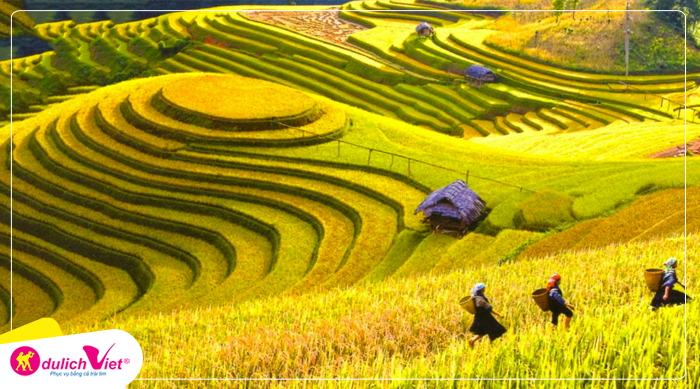 Du lịch Tây Bắc - Hà Nội - Mộc Châu - Mù Cang Chải - Sapa từ Sài Gòn 2025