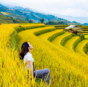 Du lịch Tây Bắc - Hà Nội - Mộc Châu - Mù Cang Chải - Sapa từ Sài Gòn 2025