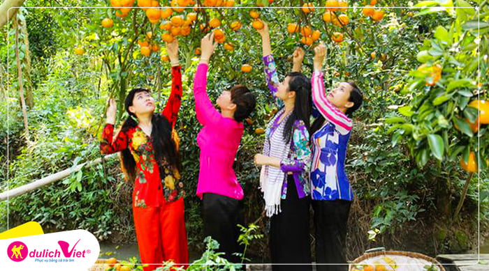 Tham quan vườn trái cây