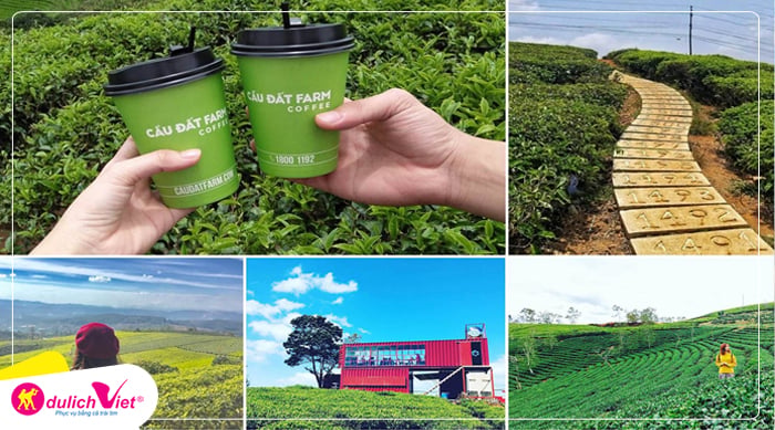 tour-da-lat-tet-am-lich-doi-che-cau-dat-du-lich-viet