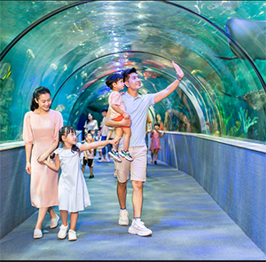 Du lịch Tết Nguyên Đán - Tour Du lịch Nha Trang - Đà Lạt từ Sài Gòn 2025