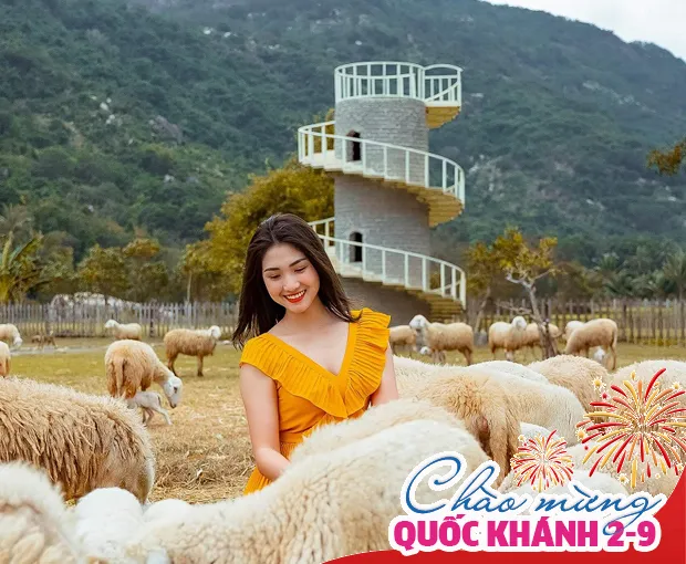 Du lịch Phan Thiết Lễ 2/9 - Linh Địa Đức Mẹ Tà Pao - Đảo Bình Hưng từ Sài Gòn 2025