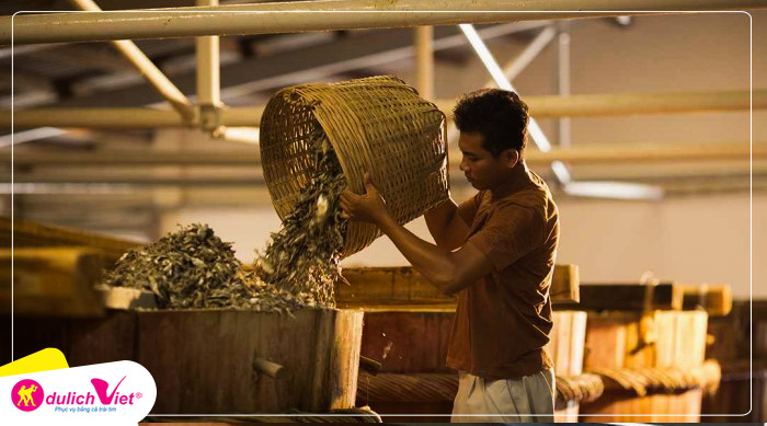 Nhà thùng nước mắm