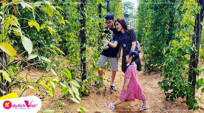 Hồ tiêu Phú Quốc