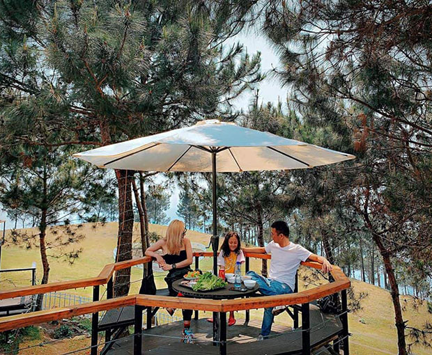 Du lịch Tết Âm lịch Cao Nguyên Mộc Châu - Pu Nhi Farm - Biển Mây Tà Xùa từ Hà Nội 2025