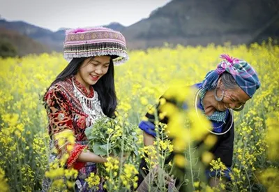 TOUR MIỀN BẮC MÙA XUÂN 5N4Đ | HẠ LONG - NINH BÌNH - SAPA - FANSIPAN