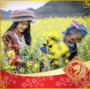 Du lịch Tây Bắc Tết Nguyên Đán - Hà Nội - Mộc Châu - Điện Biên - Sapa Land Tour từ Sài Gòn 2025