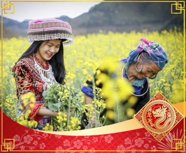 Du lịch Tây Bắc Tết Nguyên Đán - Hà Nội - Mộc Châu - Điện Biên - Sapa Land Tour từ Sài Gòn 2025