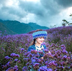 Du lịch Hè - Tour Du lịch Hà Nội - Lào Cai - Sapa chinh phục đỉnh Fansipan từ Sài Gòn 2025