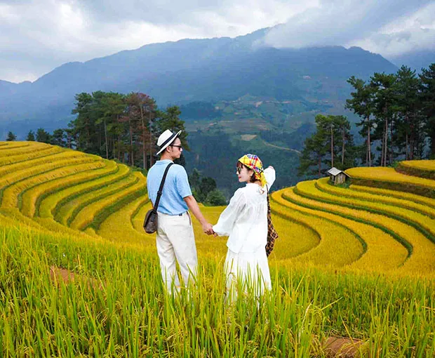 Du lịch Tây Bắc - Hà Nội - Sapa - Mù Cang Chải - Mùa Lúa Chín từ Sài Gòn 2025