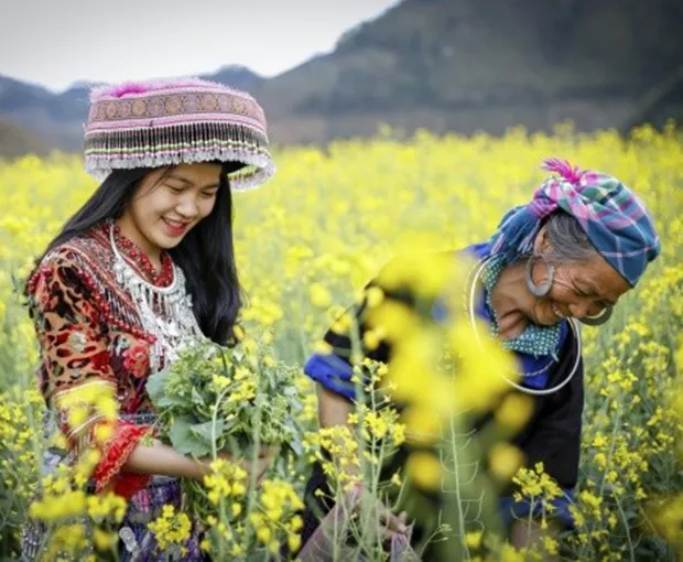 TOUR MIỀN BẮC MÙA XUÂN 5N4Đ | HẠ LONG - NINH BÌNH - SAPA - FANSIPAN