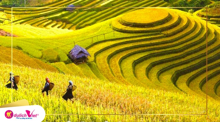 Du lịch Cao Cấp Sa Pa - Bản Cát Cát - Chinh Phục Fansipan từ Sài Gòn