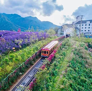 TOUR ĐÔNG TÂY BẮC MÙA XUÂN 5N4Đ | SAPA - HÀ GIANG - ĐỒNG VĂN - SÔNG NHO QUẾ