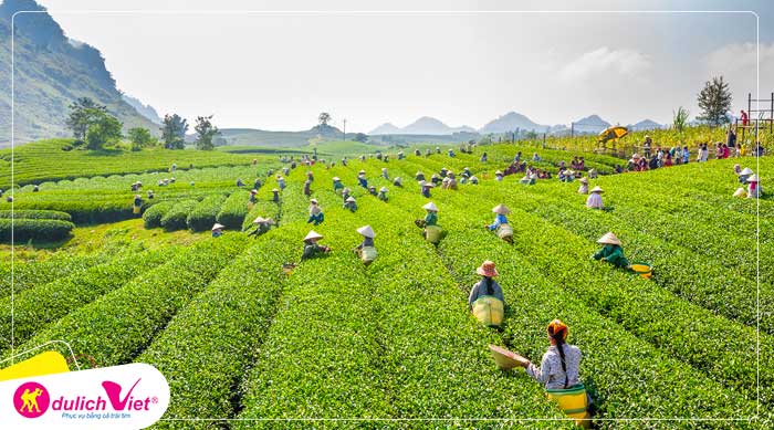 Du lịch Tây Bắc - Mai Châu - Mộc Châu - Sapa - Phú Thọ - Đền Hùng lễ 30/04 từ Sài Gòn giá tốt