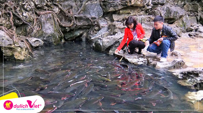 Du lịch Thanh Hóa - Đền Sòng Sơn - Đền Cô Chín - Suối Cá Thần từ Hà Nội
