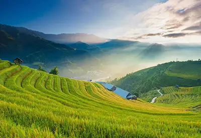 TOUR MIỀN BẮC MÙA XUÂN 3N2Đ | HÀ NỘI - ĐIỆN BIÊN - HÀ NỘI