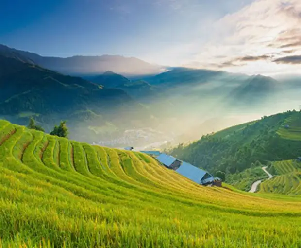 TOUR MIỀN BẮC MÙA XUÂN 3N2Đ | HÀ NỘI - ĐIỆN BIÊN - HÀ NỘI