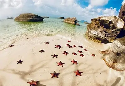 TOUR MIỀN NAM MÙA ĐÔNG 4N3Đ | HÀ NỘI - ĐẢO NGỌC PHÚ QUỐC