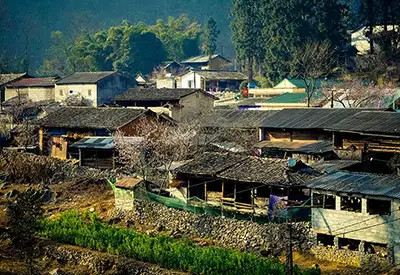 TOUR MIỀN BẮC MÙA ĐÔNG 3N2Đ | HÀ NỘI - QUẢN BẠ - YÊN MINH - CỘT CỜ LŨNG CÚ - LÔ LÔ CHẢI - PHỐ CỔ ĐỒNG VĂN