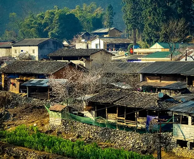 TOUR MIỀN BẮC MÙA ĐÔNG 3N2Đ | HÀ NỘI - QUẢN BẠ - YÊN MINH - CỘT CỜ LŨNG CÚ - LÔ LÔ CHẢI - PHỐ CỔ ĐỒNG VĂN