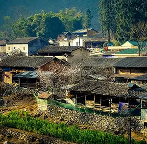 TOUR MIỀN BẮC MÙA ĐÔNG 3N2Đ | HÀ NỘI - QUẢN BẠ - YÊN MINH - CỘT CỜ LŨNG CÚ - LÔ LÔ CHẢI - PHỐ CỔ ĐỒNG VĂN