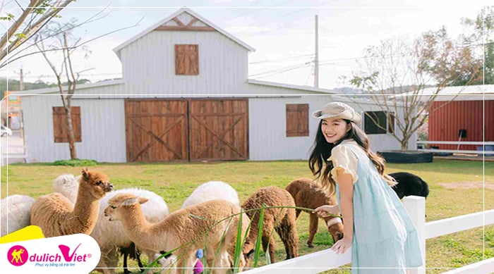Nong-Trai-Cun-Puppy-Farm-du-lich-viet(1)