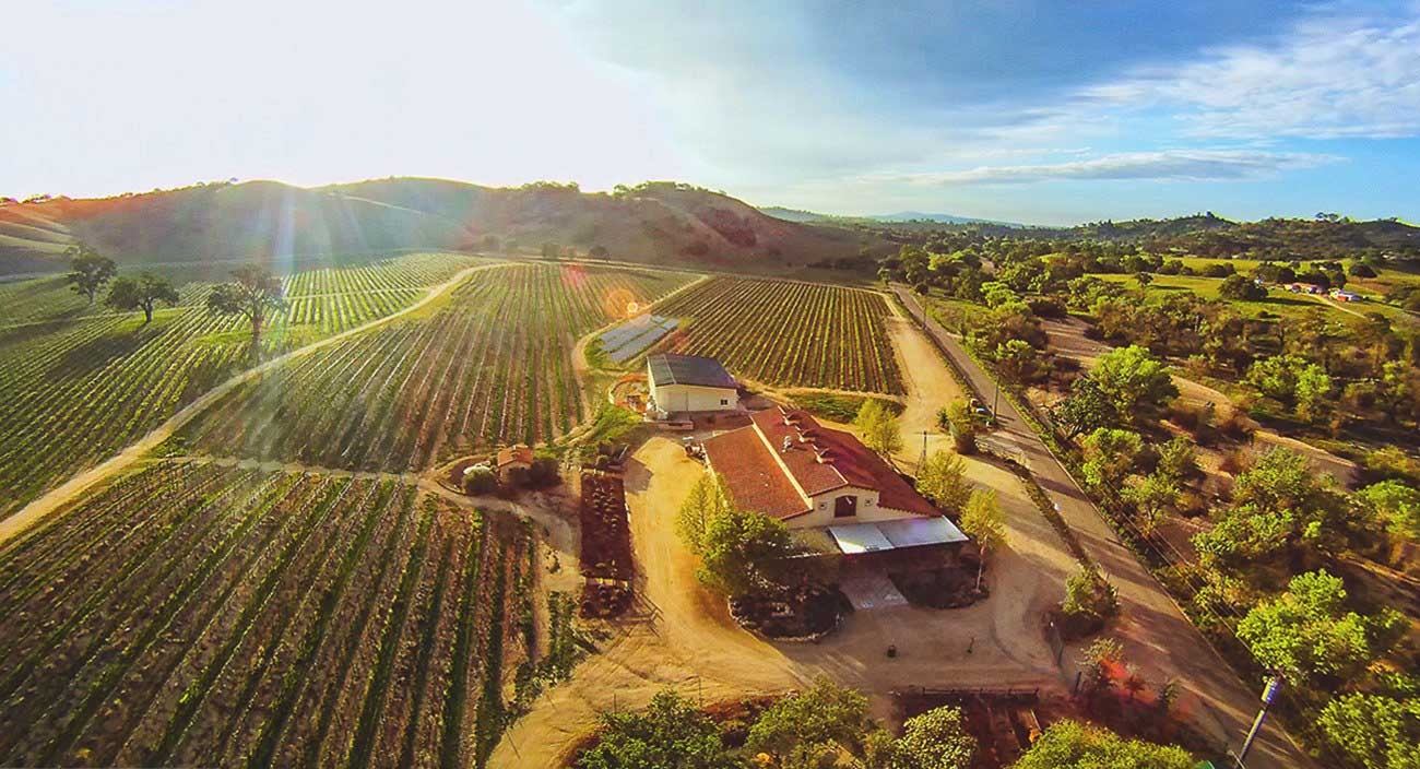 Thành phố Paso Robles nơi sản xuất rượu vang thượng hạng lớn nhất nước Mỹ
