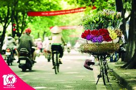 Xe hoa loa kèn trắng tinh khôi